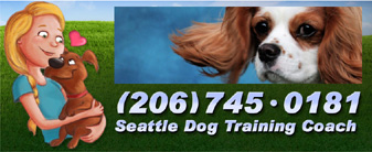 Private Dog Training What kind of dog trainer is Bette Yip? See what previous students say!